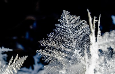 мороз, январь