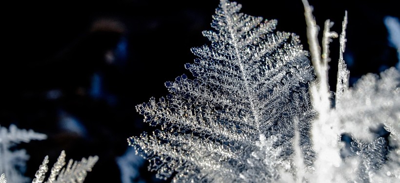 мороз, январь