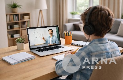 дистанционка в школе