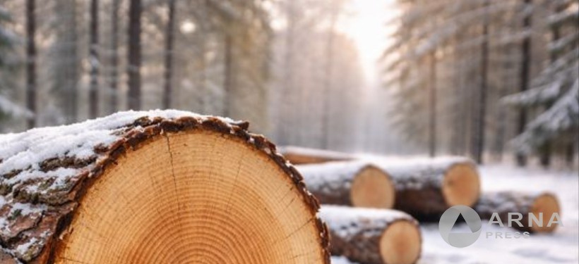 лес, врубка