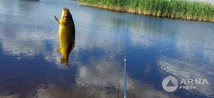 рыбалка, лов рыбы