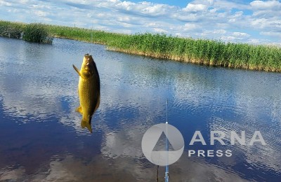 рыбалка, лов рыбы