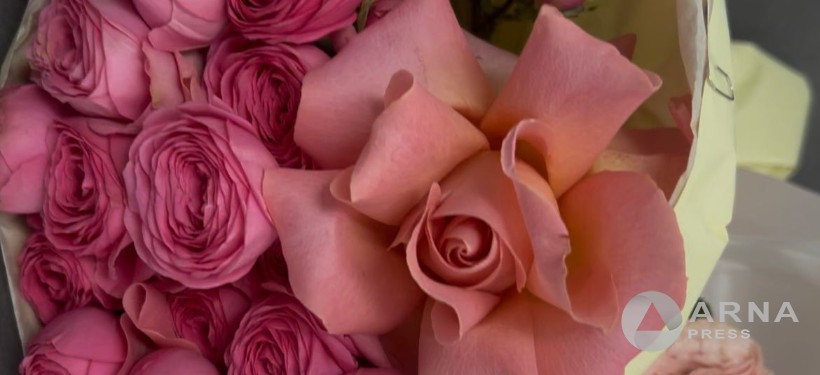 гүл, тасымал, мереке