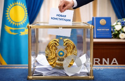 голосование по проекту Конституции