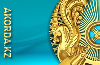 жаңа заң, конституция, Президент