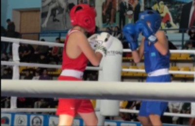 турнир по боксу