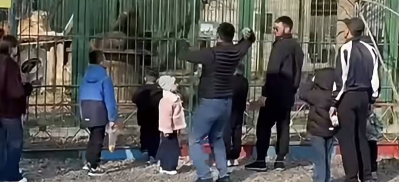 нарушители