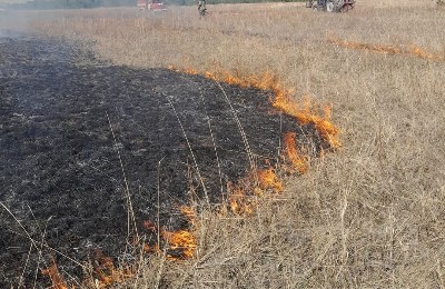 контролируемый отжиг травянистой растительности