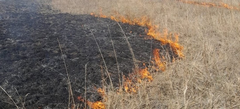 контролируемый отжиг травянистой растительности