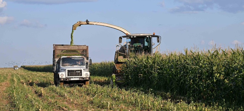 егіс, науқан, Абай облысы