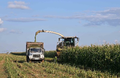 егіс, науқан, Абай облысы