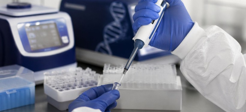 жоғалды, 9 жыл бұрын, сүйегі, табылды