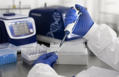 жоғалды, 9 жыл бұрын, сүйегі, табылды