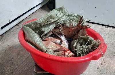 балық, заңсыз, ұсталды