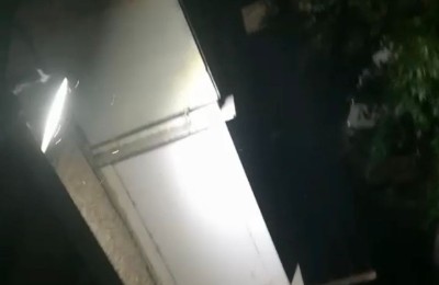 насекомые на балконе