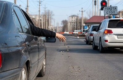жол, шемішке, тәртіпсіздік