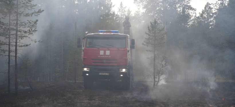 пожар в лесу