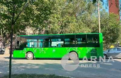 автобус, шағым, Қарағайлы