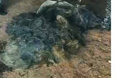 Абай облысында заңсыз балық аулау құралдары тәркіленді