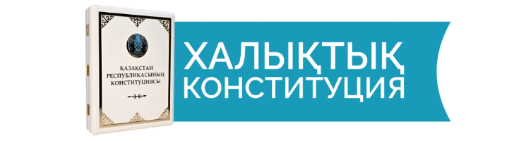 Конституция